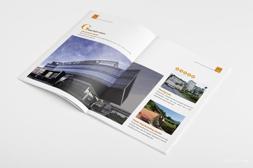 上海印刷廠常用的紙張的名稱有哪些？  第1張