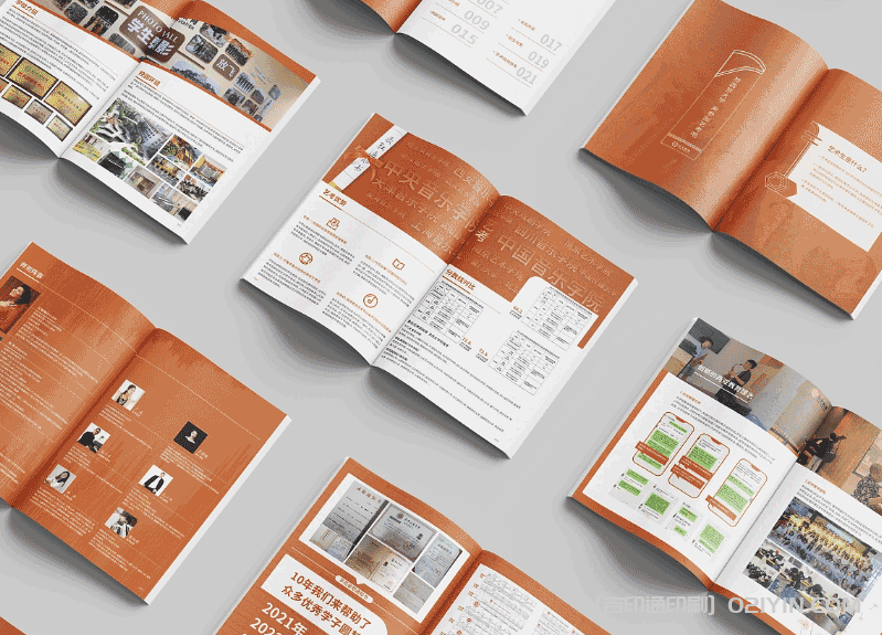 藝校招生手冊(cè)印刷 第3張 藝校招生手冊(cè)印刷 第3張