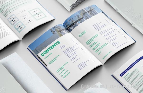 化工企業(yè)樣本印刷 第4張 化工企業(yè)樣本印刷 第4張