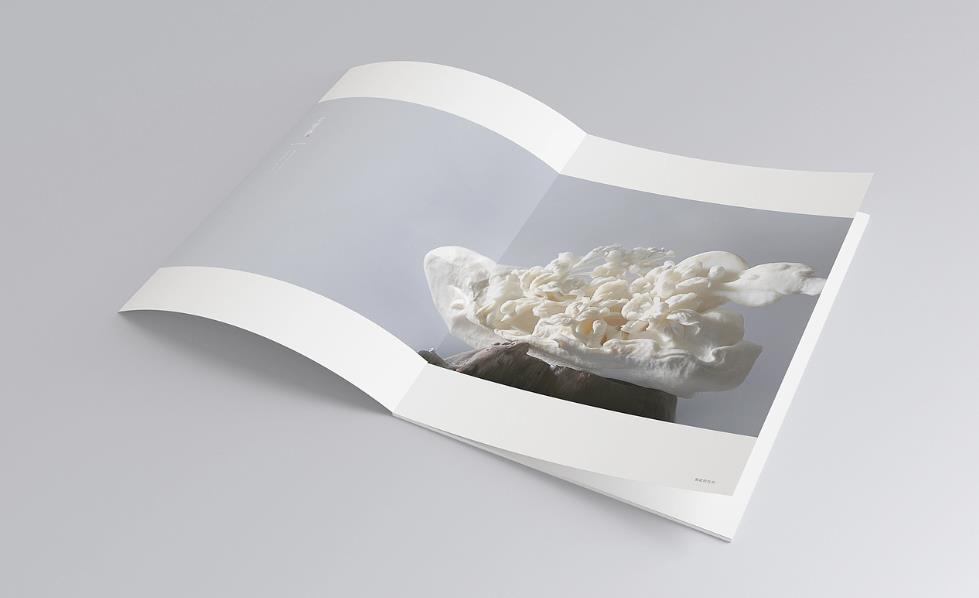 彩頁(yè)印刷常規(guī)尺寸有哪些？